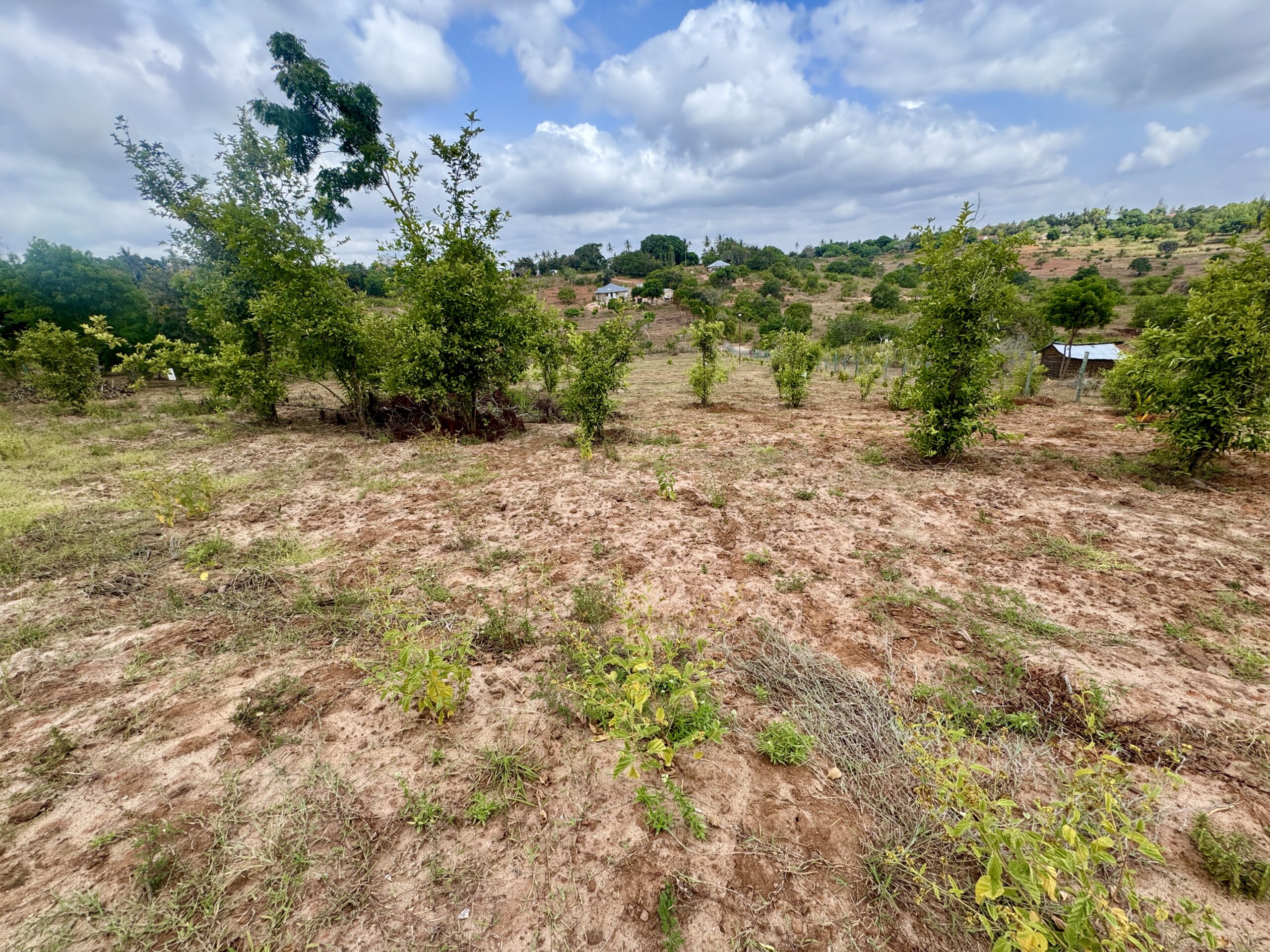 Home IMG 1144 Scaled