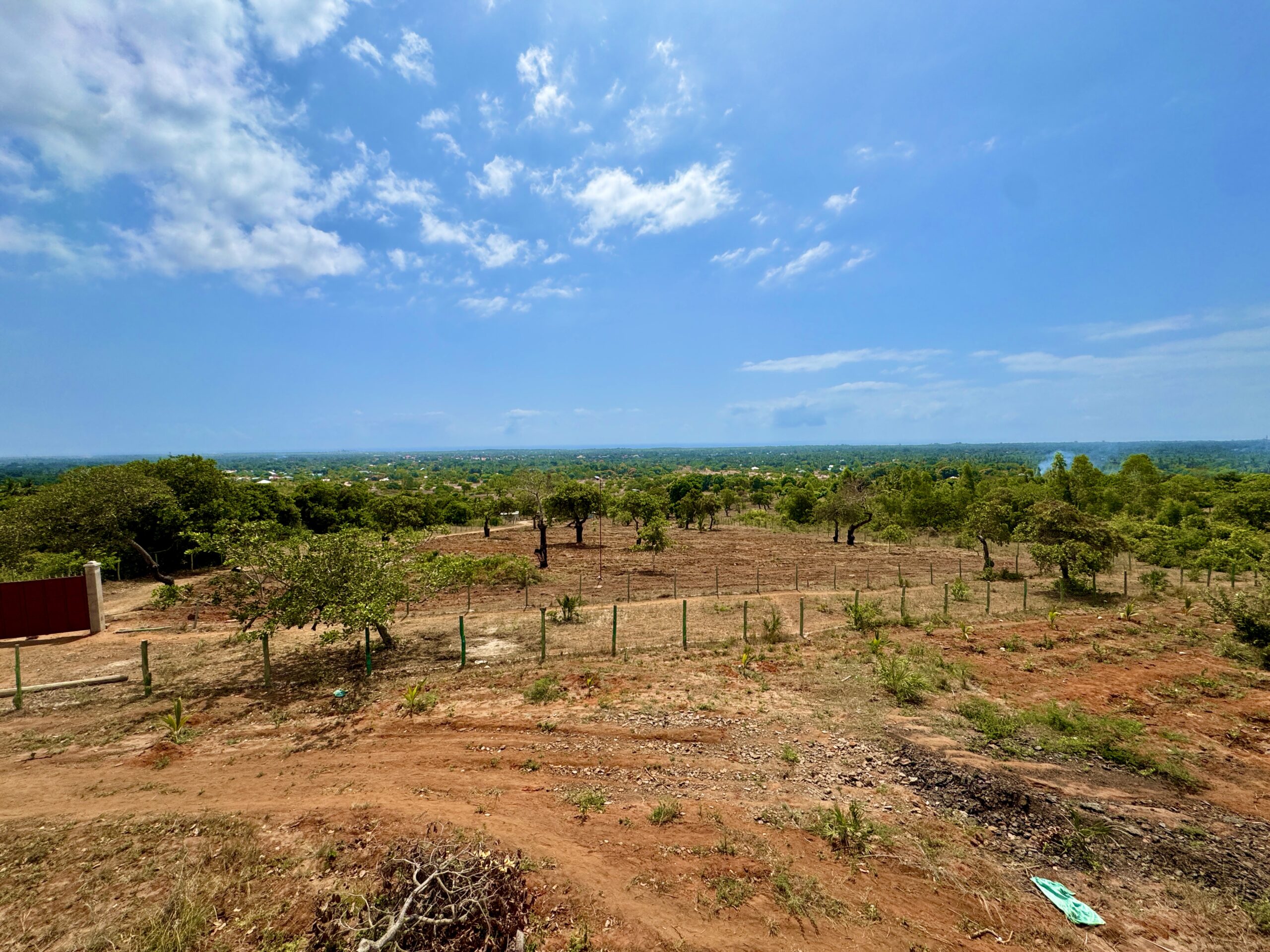 Home IMG 1152 Scaled