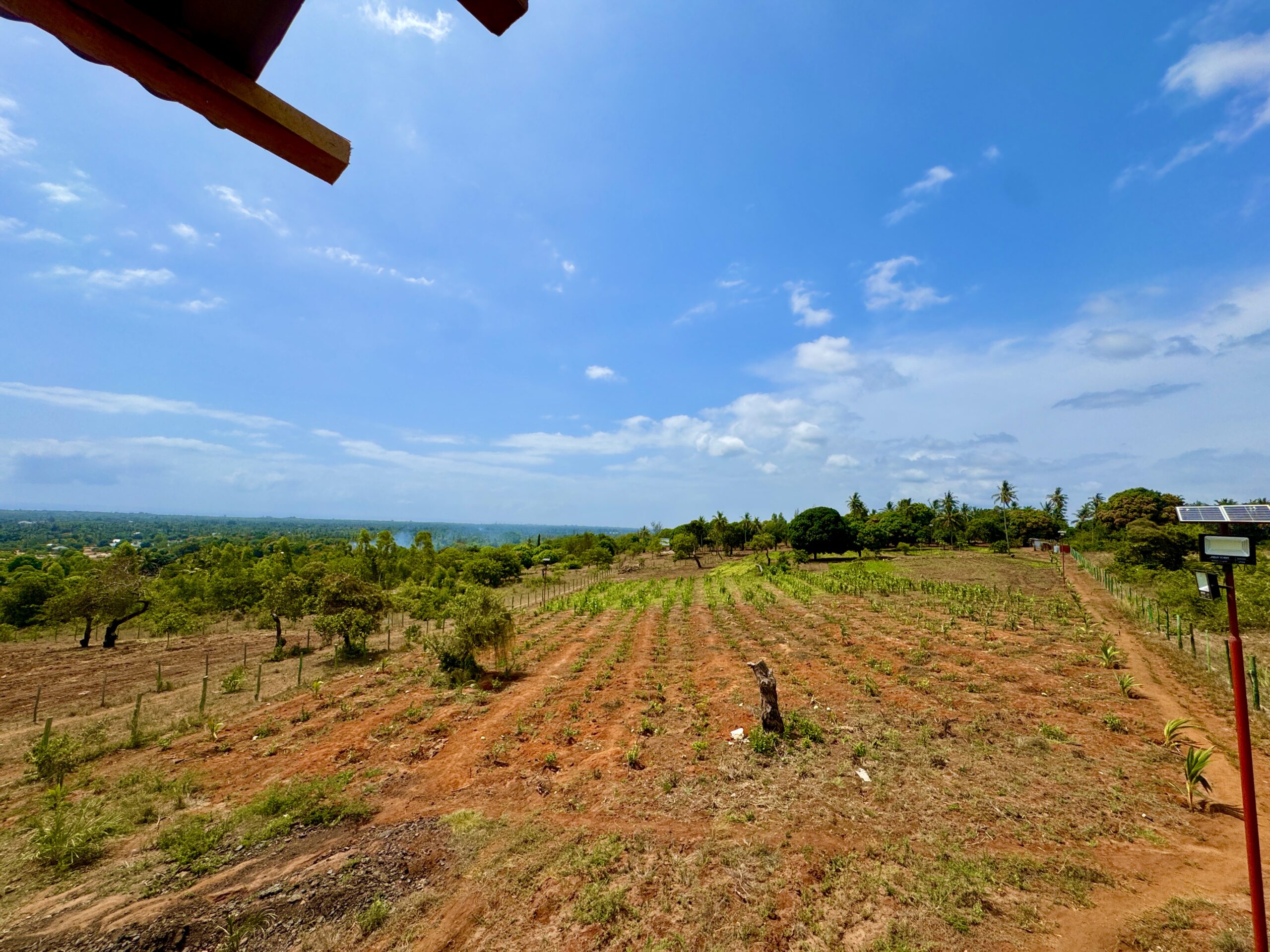 Home IMG 1156 Scaled