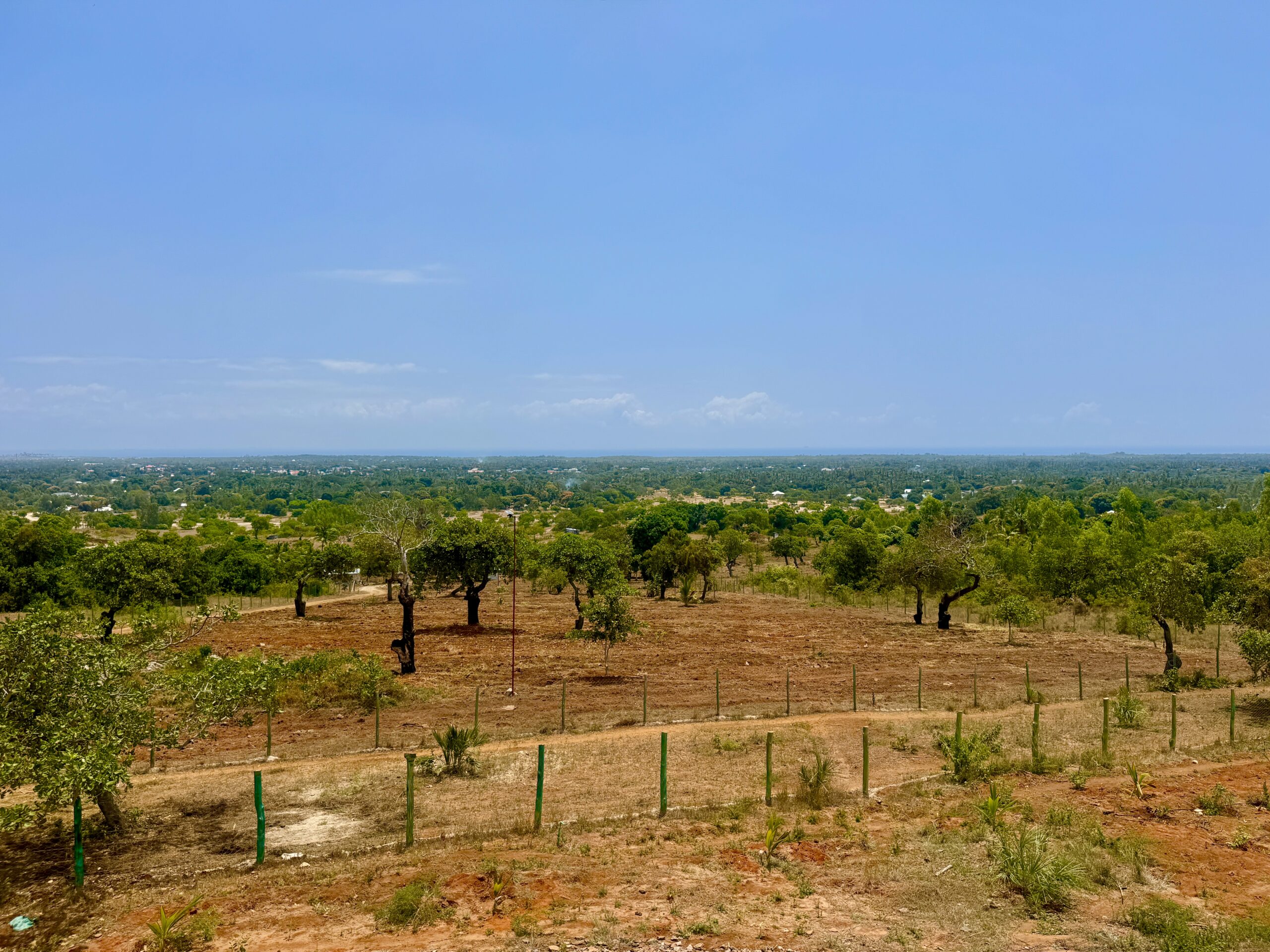 Home IMG 1161 Scaled