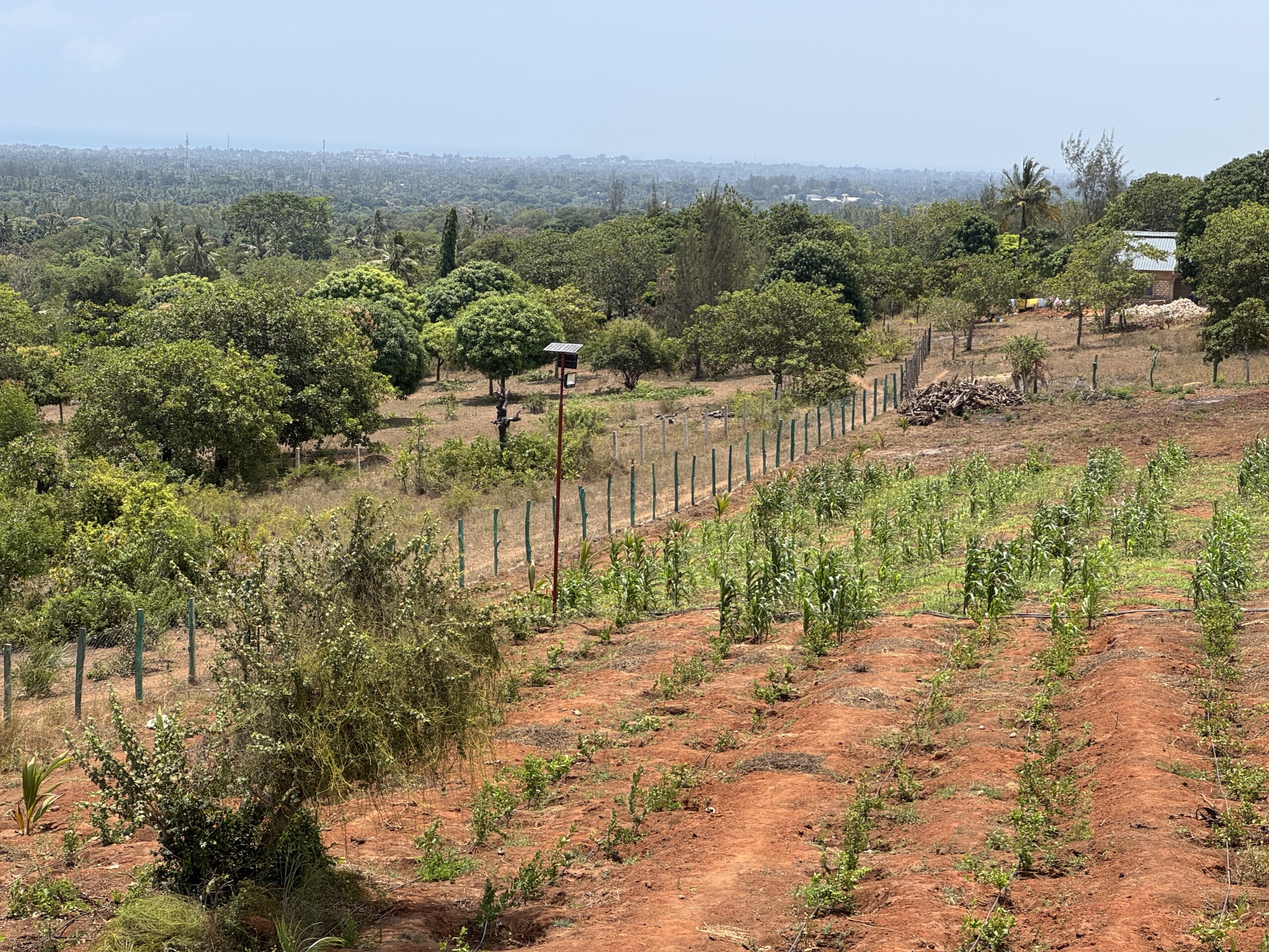 Home IMG 1165 Scaled