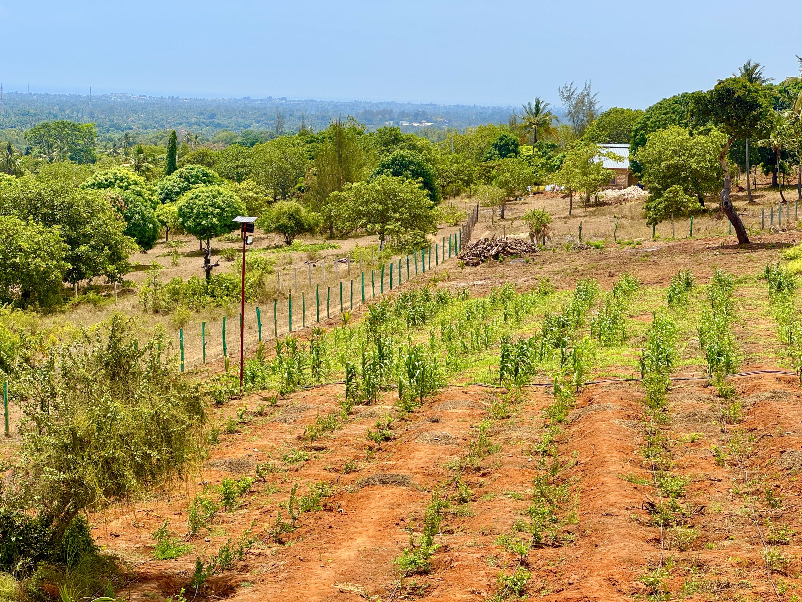 Home IMG 1166 Scaled