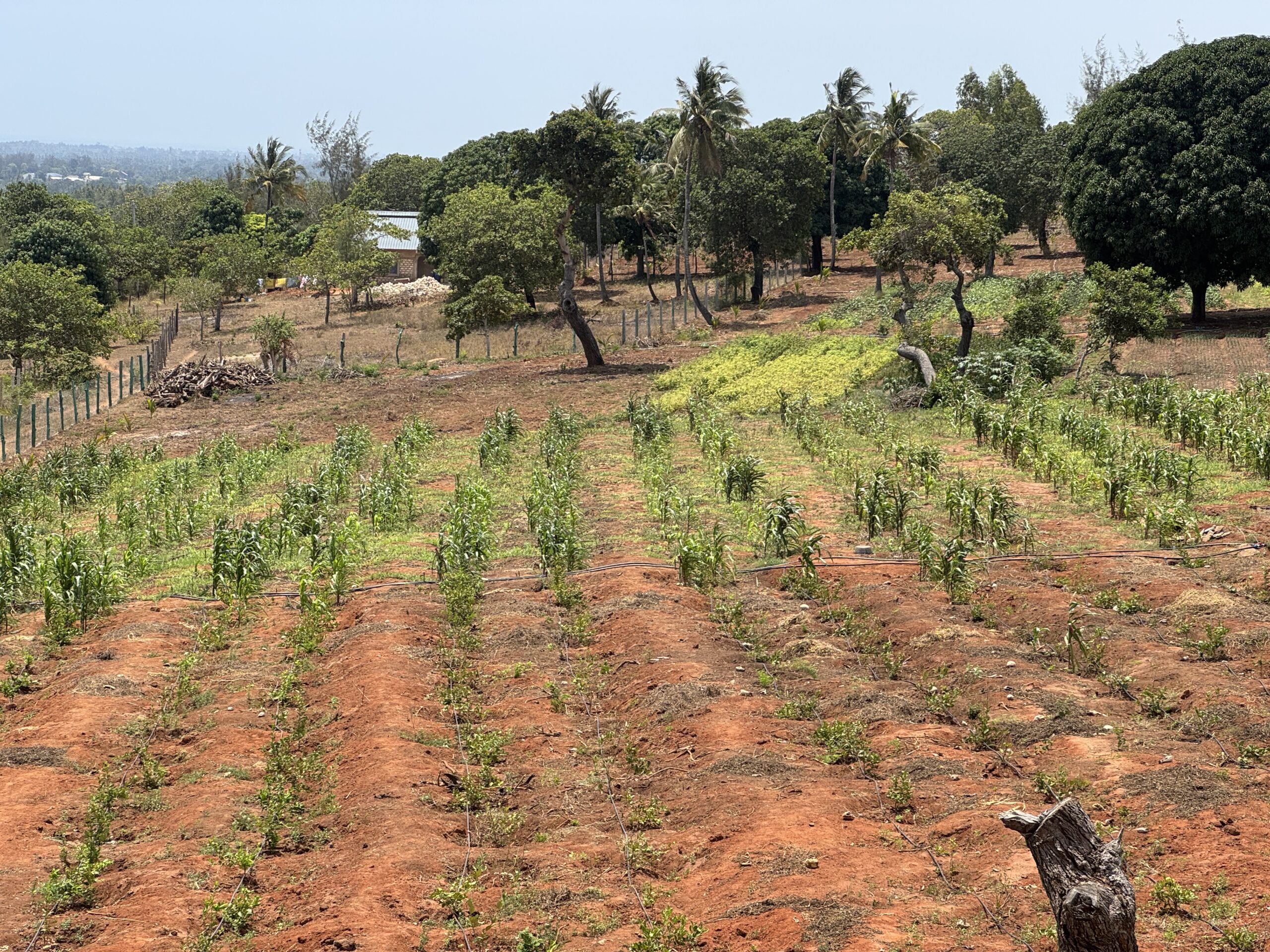 Home IMG 1168 Scaled