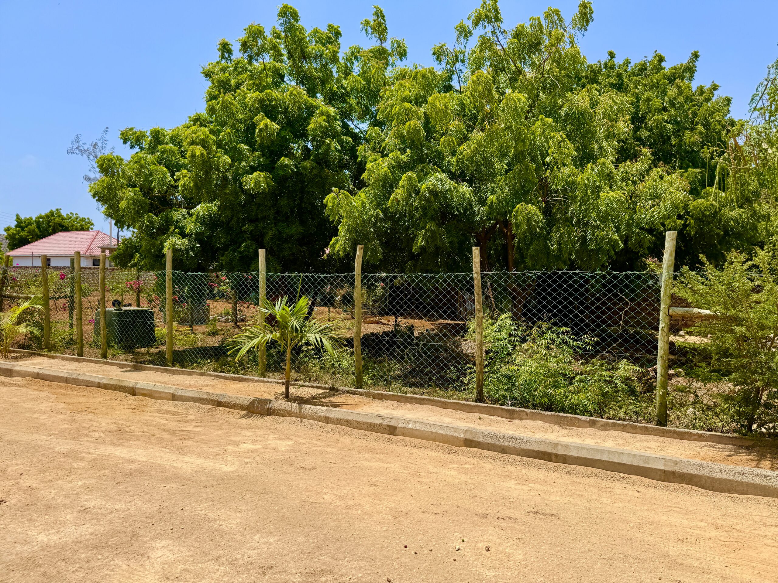 Home IMG 1237 Scaled