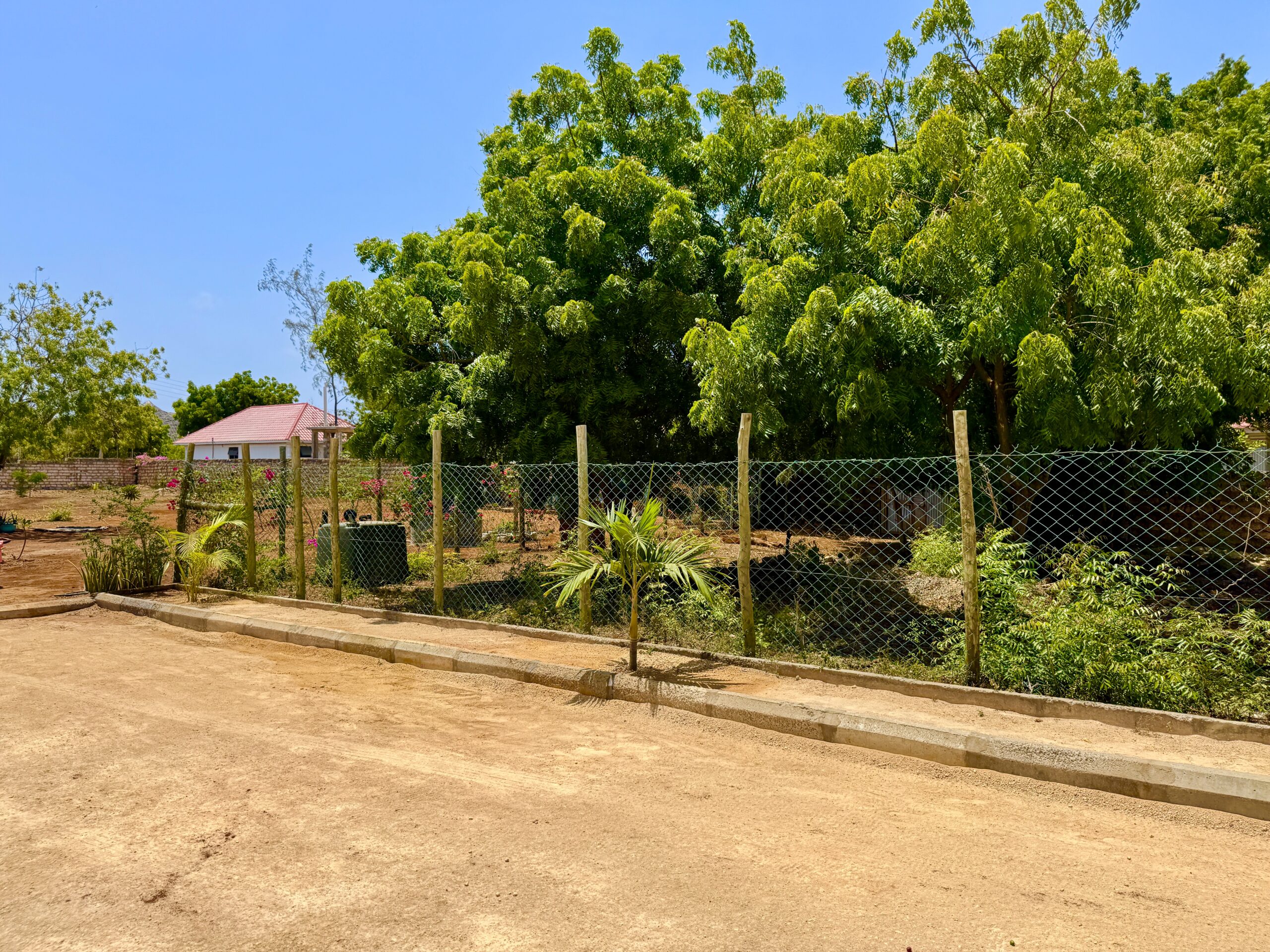 Home IMG 1239 Scaled