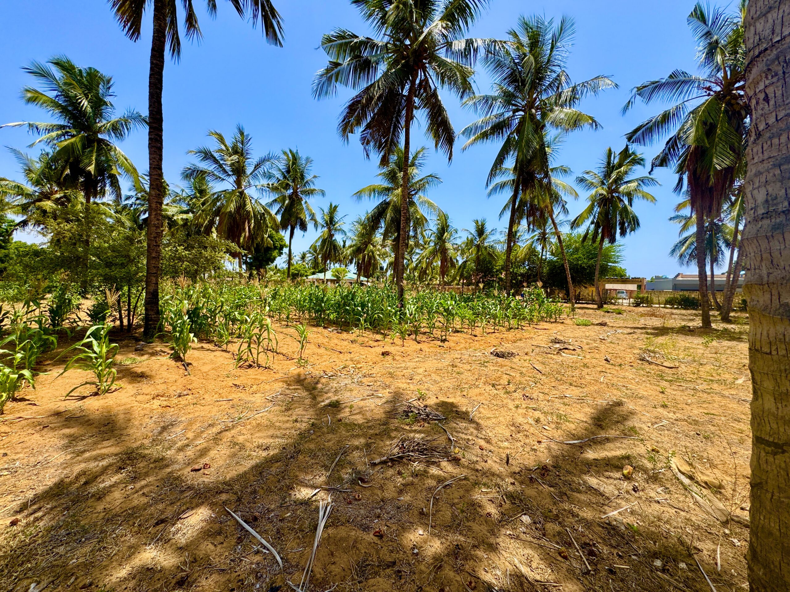 Home IMG 1286 Scaled