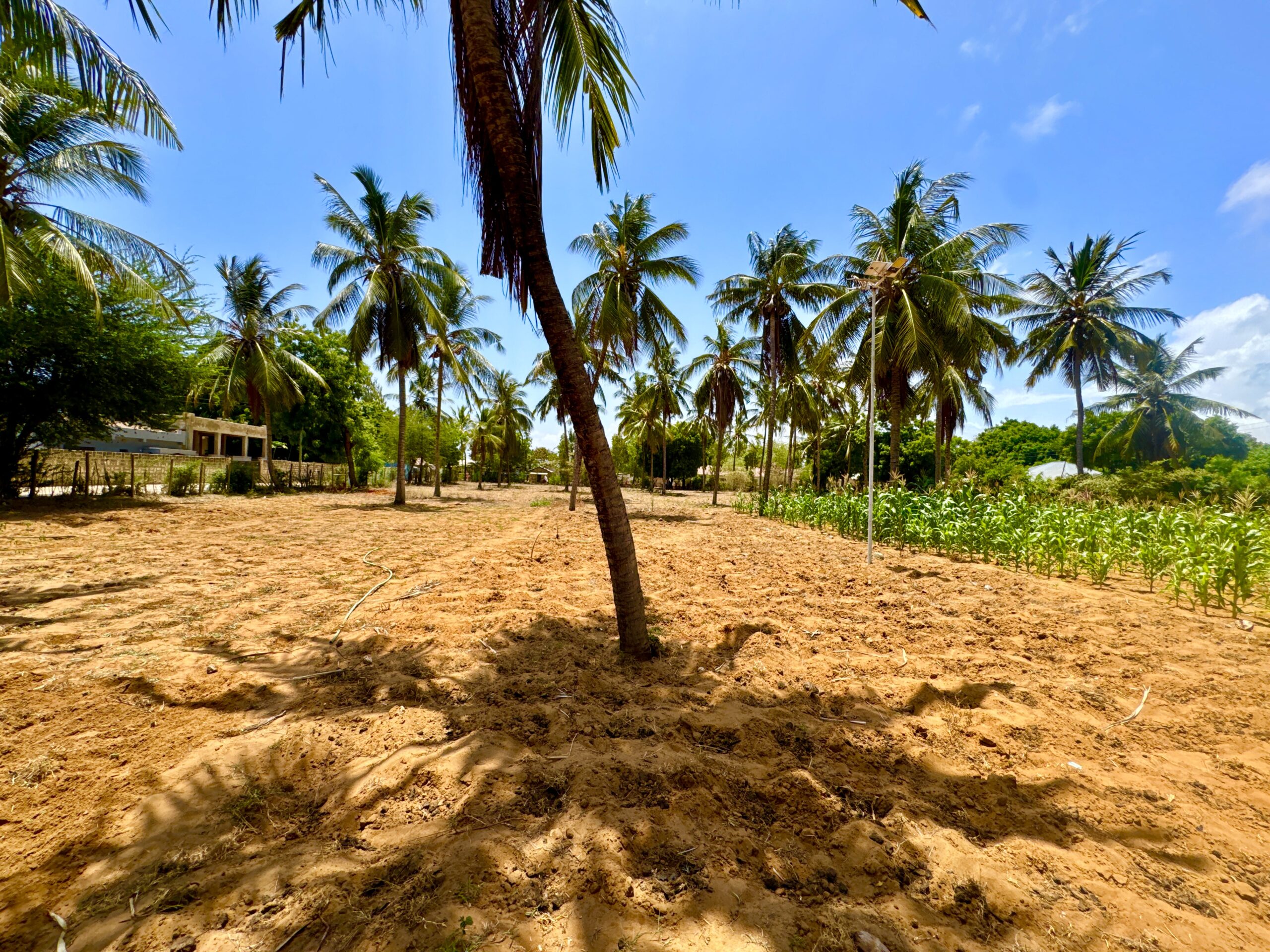 Home IMG 1301 Scaled