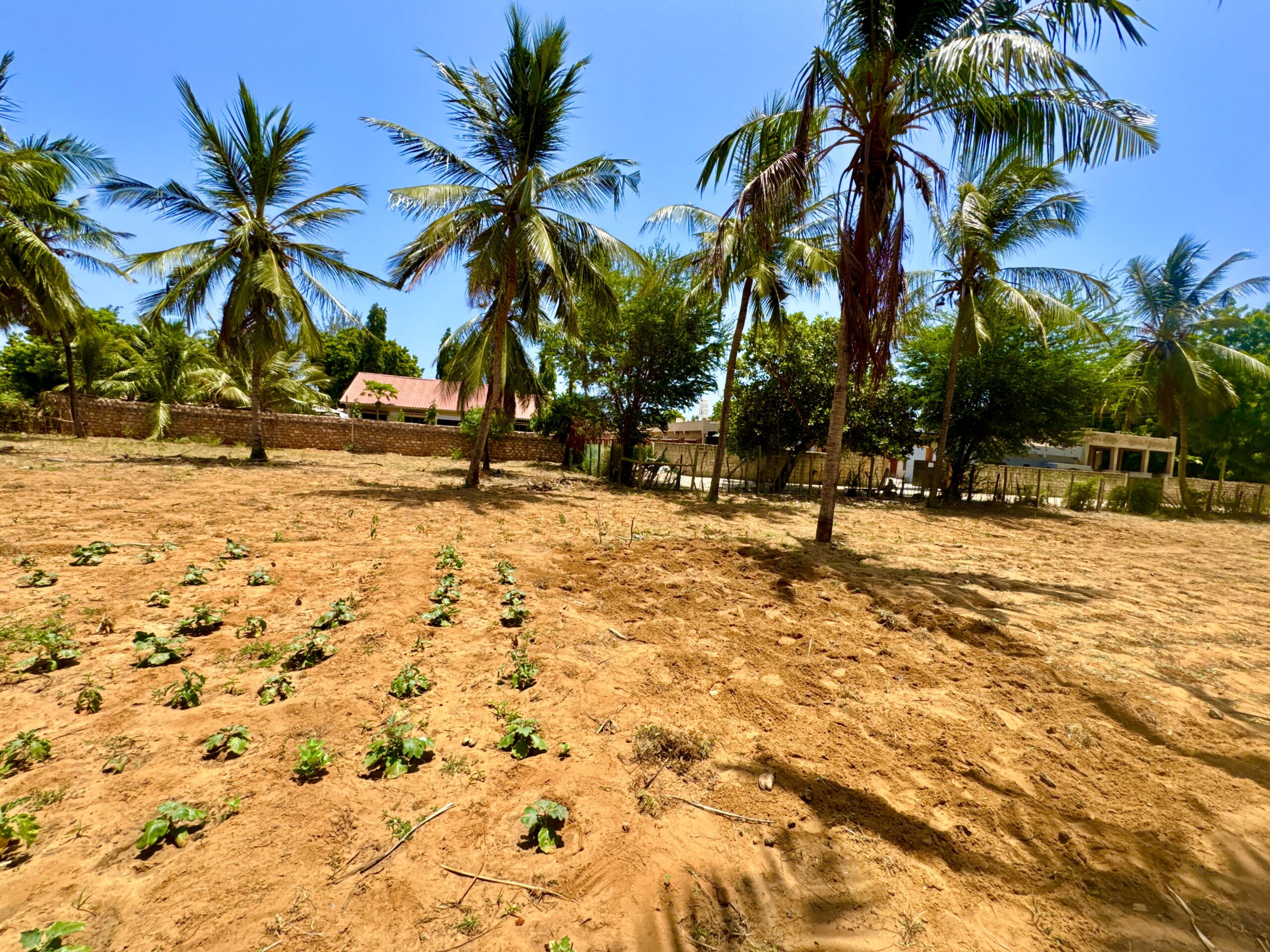 Home IMG 1316 Scaled