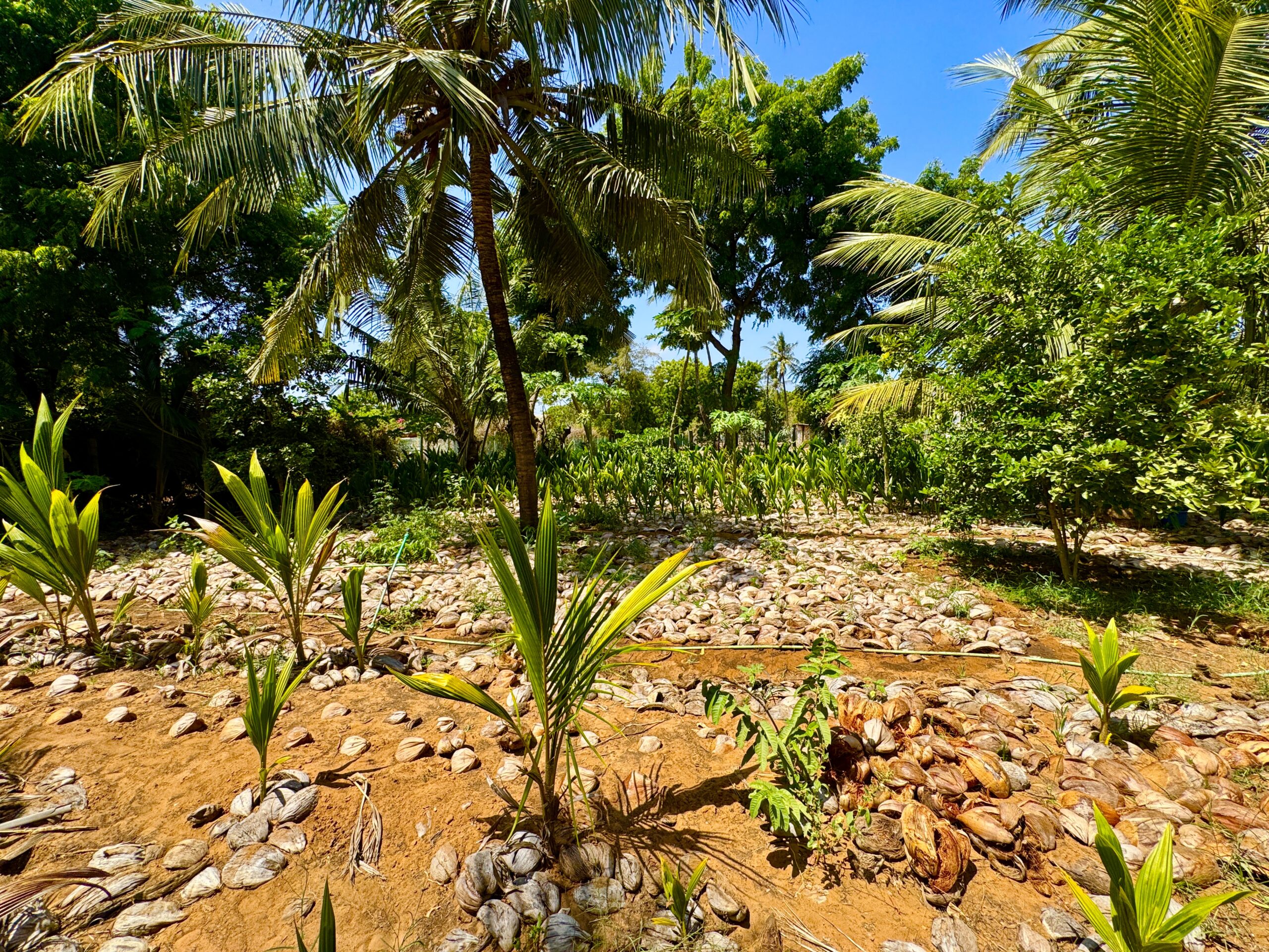 Home IMG 1338 Scaled