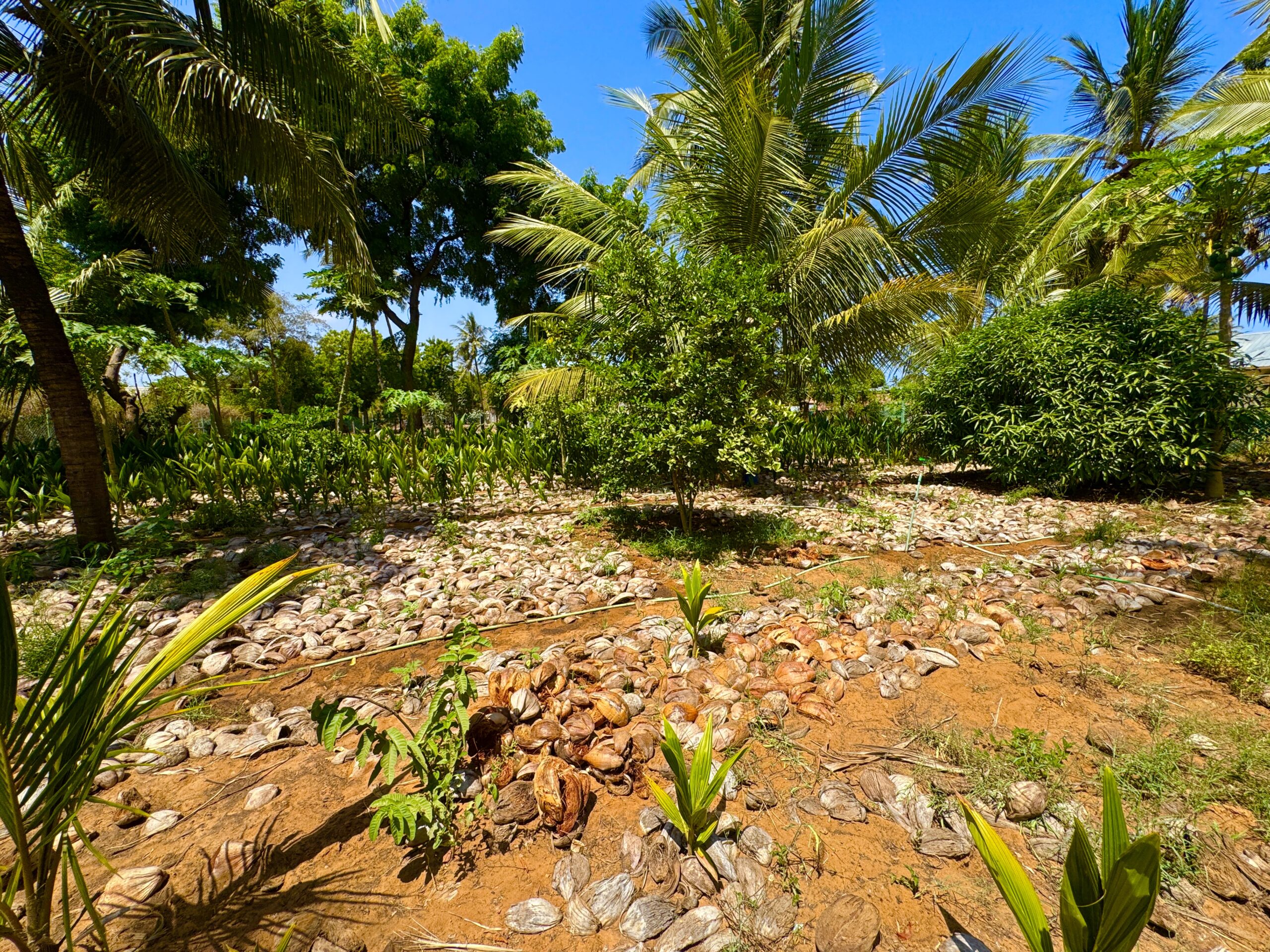 Home IMG 1343 Scaled