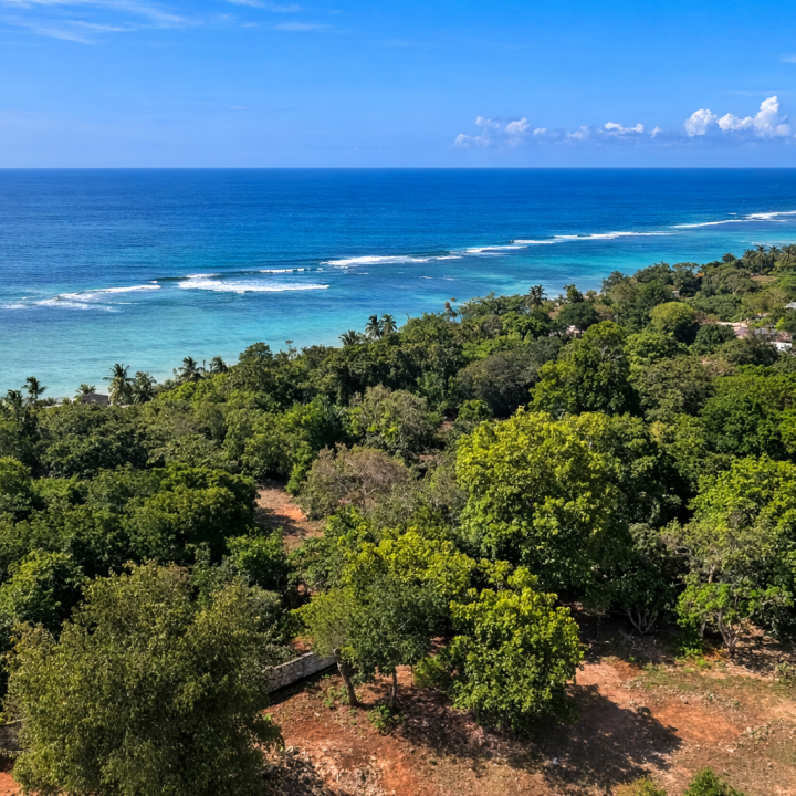 49d550c0 c54e 426c b59a 4697ff579720