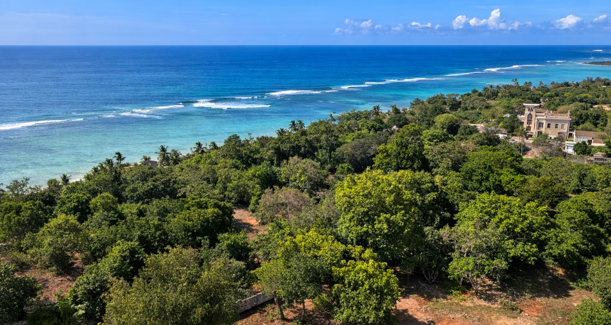 49d550c0 c54e 426c b59a 4697ff579720